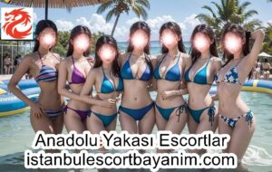 1- Anadolu Yakası Escortlar Hangi semtlerde Hizmet Verir ?